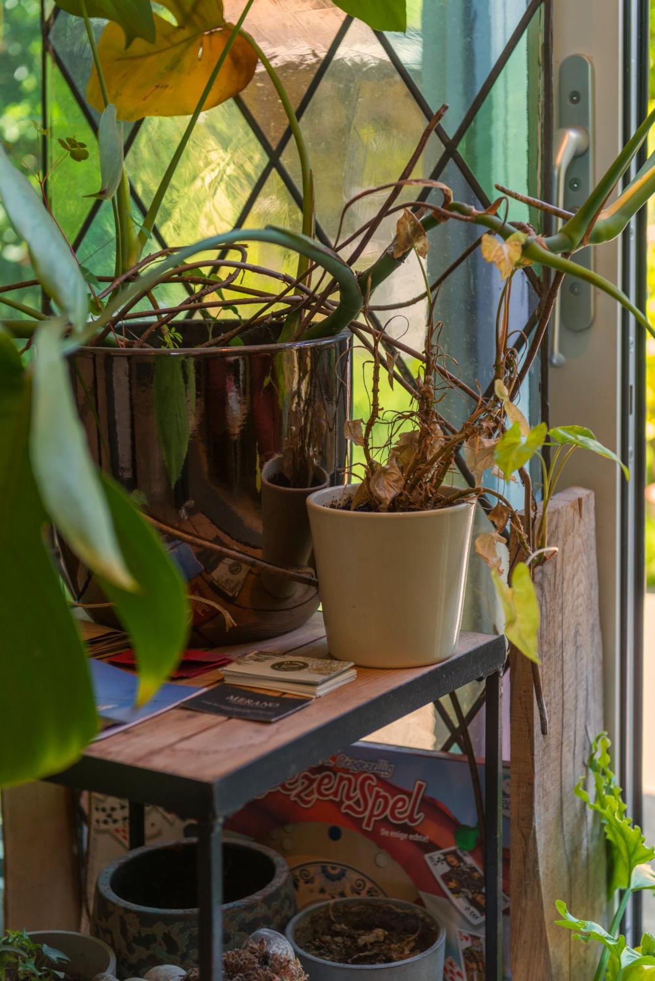 Cozy House - Leenfietsen, Eigen Keuken En Badkamer Nijmegen Buitenkant foto